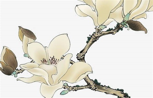 2026年11月10日动土日子如何 今日建筑房屋好不好