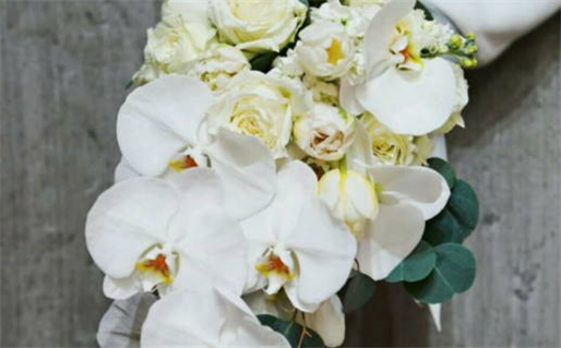 2033年08月29日是结婚好日子吗 是办婚礼好日子吗