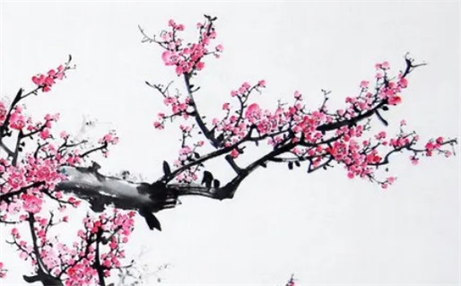 2026年06月24日是领证好日子吗 今日登记领证好吗