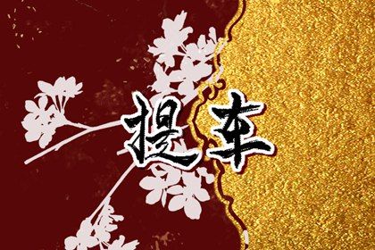 2024年农历八月廿八提车好不好 今日提车好不好