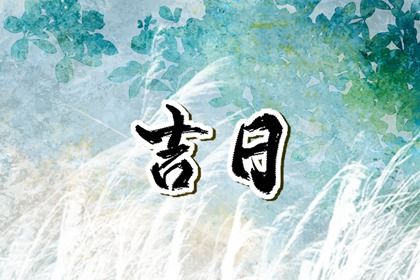 2026年农历腊月十一提车日子如何 今日提车好不好